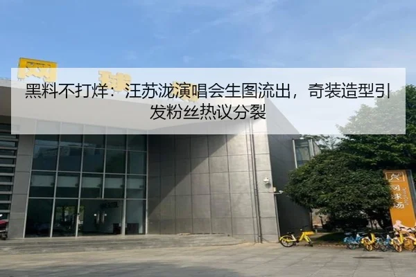 黑料不打烊：汪苏泷演唱会生图流出，奇装造型引发粉丝热议分裂